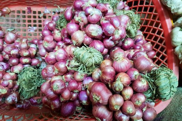 Kraken istand onion