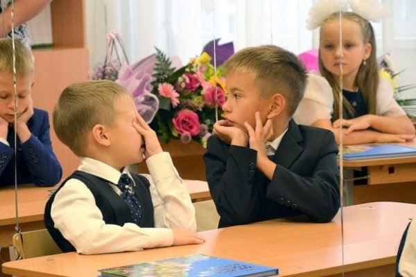 Замена гидры