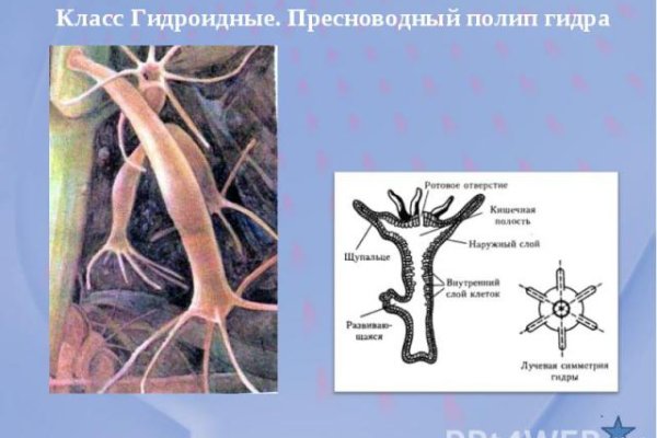 Kraken что это такое
