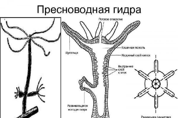 Кракен что это магазин