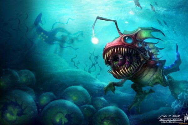 Kraken 17 at