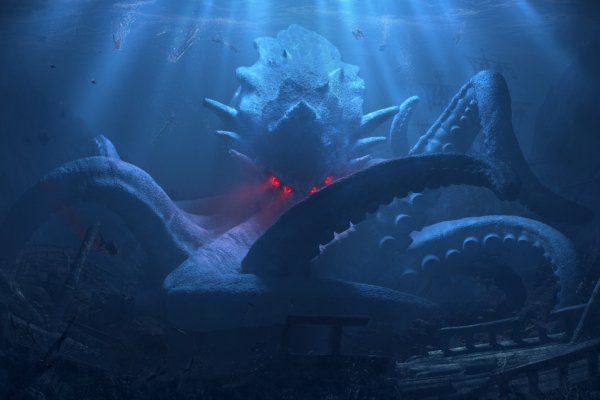 Ссылка на kraken at