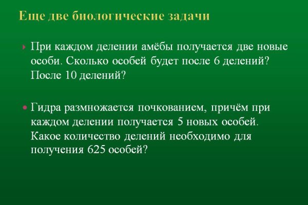 Прямая ссылка на кракен